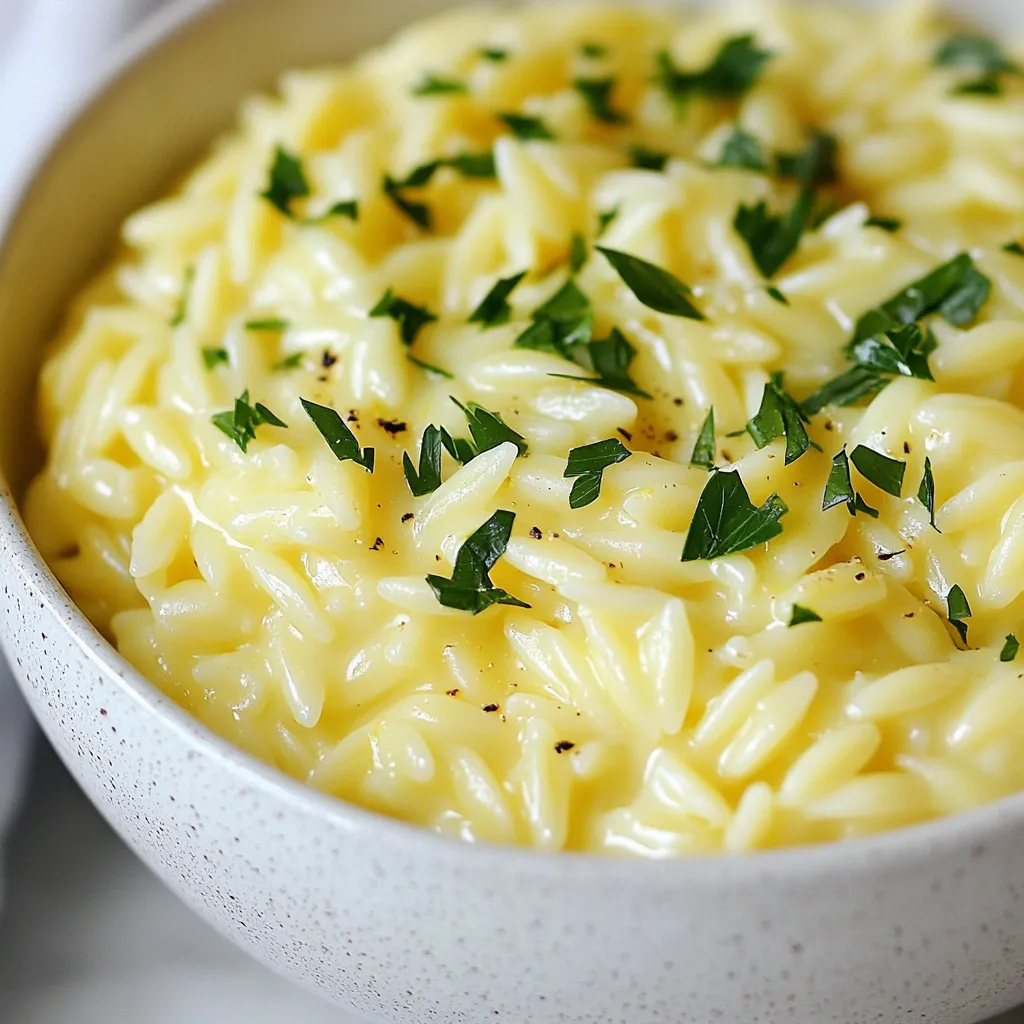 - 1 cup orzo pasta - 2 cups vegetable broth - ½ cup Boursin cheese (any flavor) - 1 tablespoon olive oil - 1 small shallot, finely chopped - 2 cloves garlic, minced - 1 lemon, zested and juiced - 1 cup fresh spinach, chopped - Salt and pepper to taste - Fresh parsley, chopped (for garnish) For substitutions, you can use any small pasta instead of orzo. If you can't find Boursin cheese, cream cheese mixed with herbs is a good choice. You can swap spinach for kale or arugula if you prefer. {{ingredient_image_1}} This blog post guides you through a tasty orzo dish with Boursin cheese. We covered the ingredients needed, cooking steps, and tips for a creamy sauce. You learned about flavor variations, vegetable additions, and serving ideas. Remember, meal prep makes this dish quick and easy. With proper storage, leftovers stay fresh and tasty. Enjoy exploring the flavors and getting creative in the kitchen. Happy cooking!